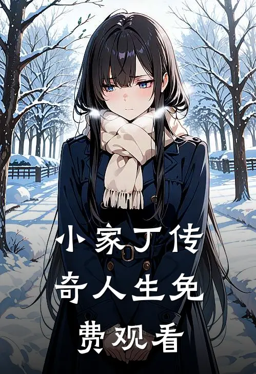 小家丁传奇人生免费观看