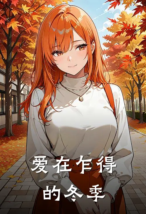 爱在乍得的冬季