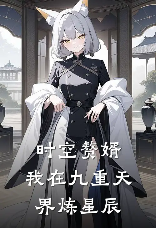 时空赘婿：我在九重天界炼星辰